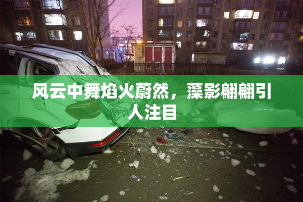 风云中舞焰火蔚然，藻影翩翩引人注目