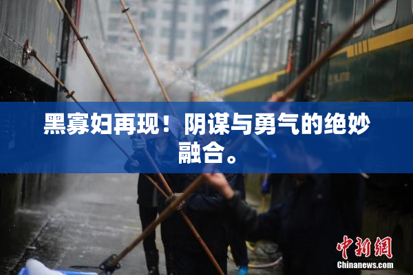 黑寡妇再现！阴谋与勇气的绝妙融合。
