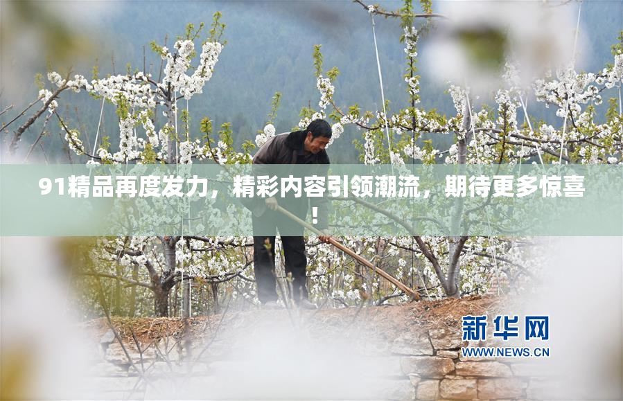 91精品再度发力，精彩内容引领潮流，期待更多惊喜！