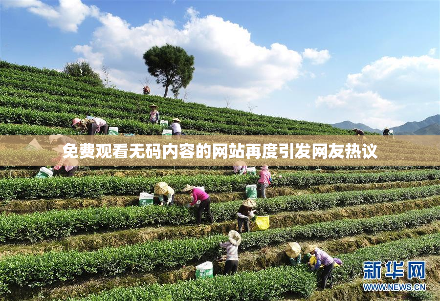 免费观看无码内容的网站再度引发网友热议