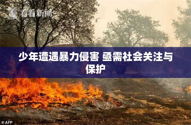 少年遭遇暴力侵害 亟需社会关注与保护