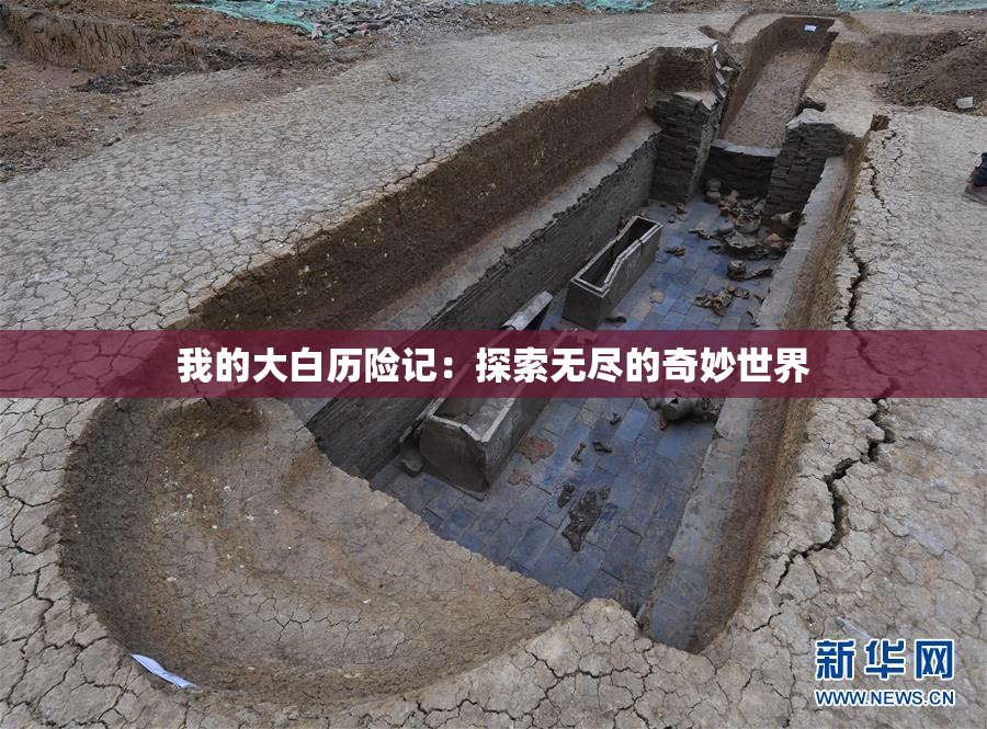 我的大白历险记：探索无尽的奇妙世界