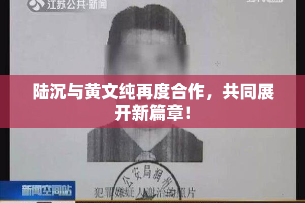 陆沉与黄文纯再度合作，共同展开新篇章！