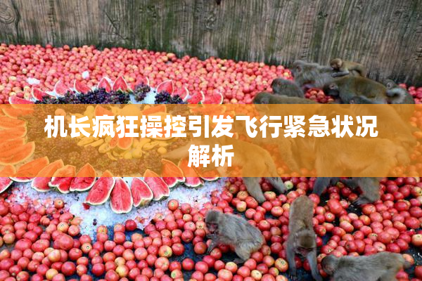 机长疯狂操控引发飞行紧急状况解析