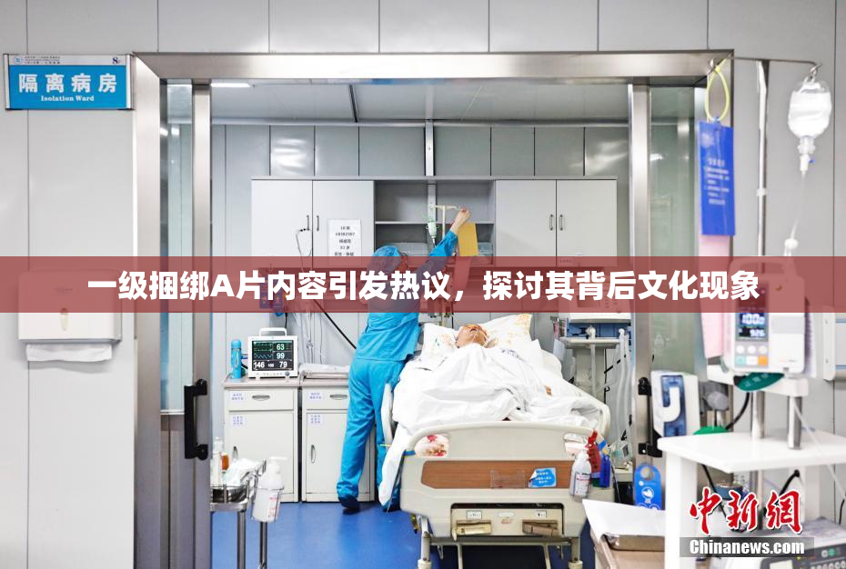 一级捆绑A片内容引发热议，探讨其背后文化现象
