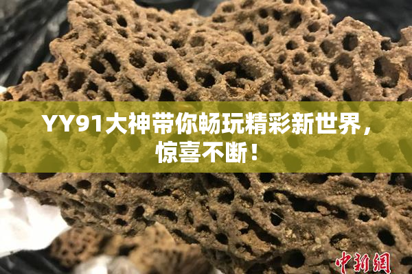 YY91大神带你畅玩精彩新世界，惊喜不断！