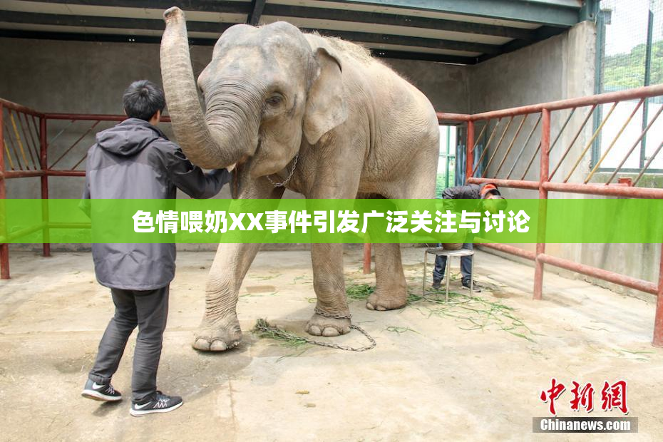 色情喂奶XX事件引发广泛关注与讨论