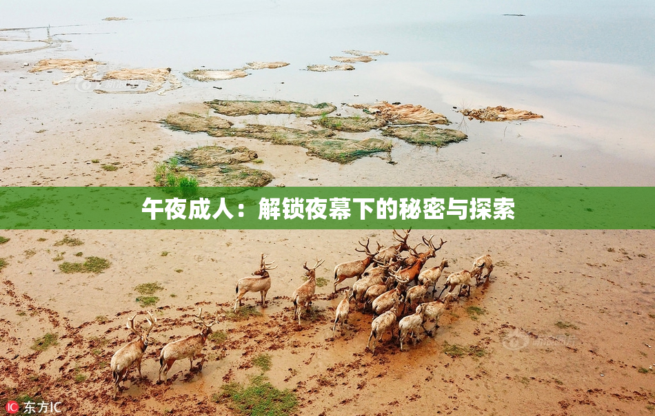 午夜成人：解锁夜幕下的秘密与探索