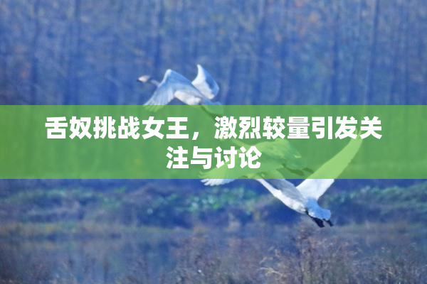 舌奴挑战女王，激烈较量引发关注与讨论