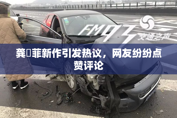龚玥菲新作引发热议，网友纷纷点赞评论