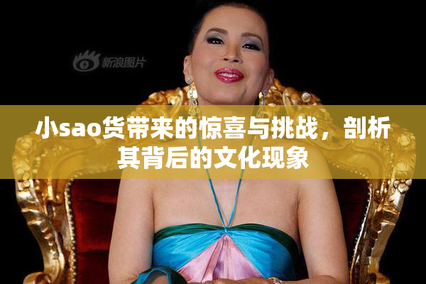 小sao货带来的惊喜与挑战，剖析其背后的文化现象