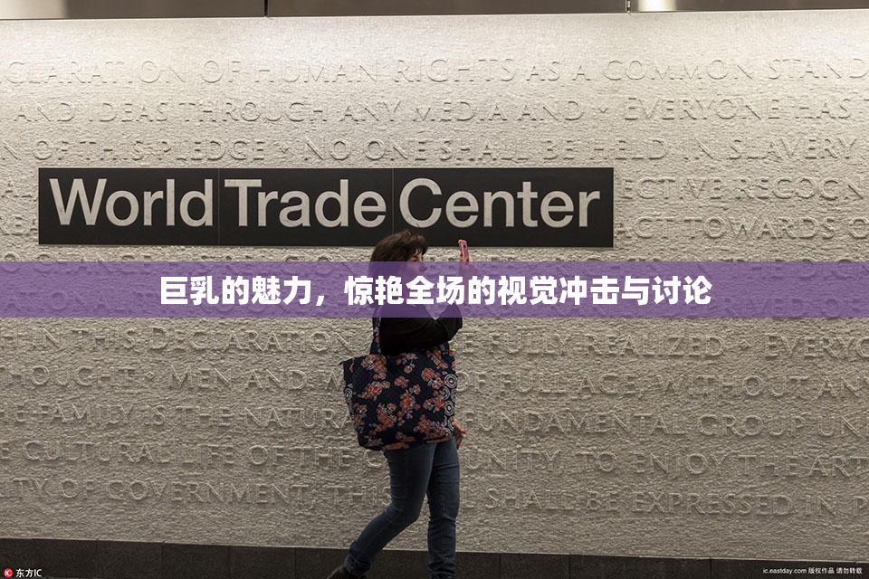 巨乳的魅力，惊艳全场的视觉冲击与讨论