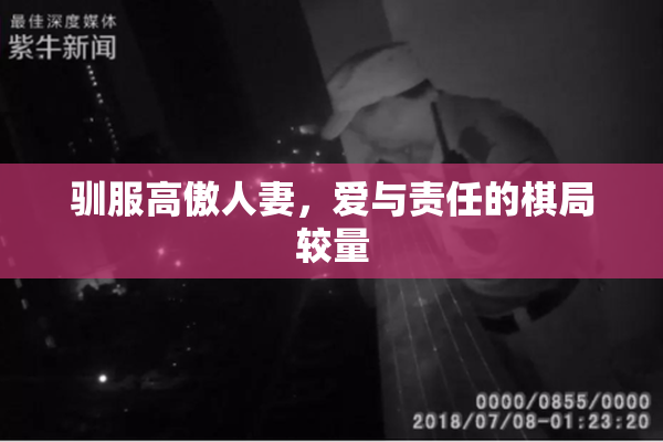 驯服高傲人妻，爱与责任的棋局较量