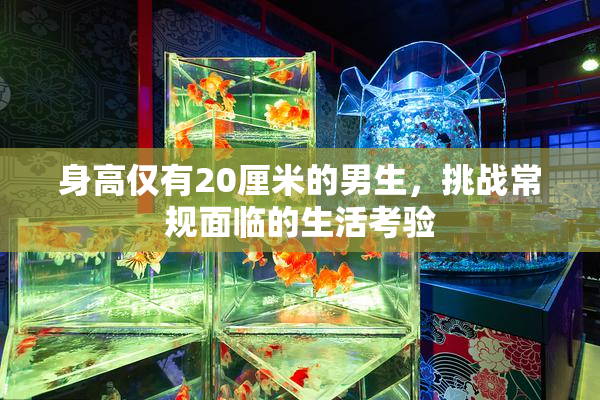 身高仅有20厘米的男生，挑战常规面临的生活考验
