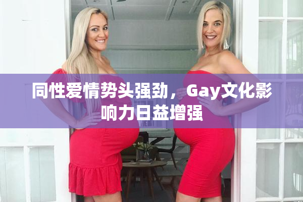 同性爱情势头强劲，Gay文化影响力日益增强