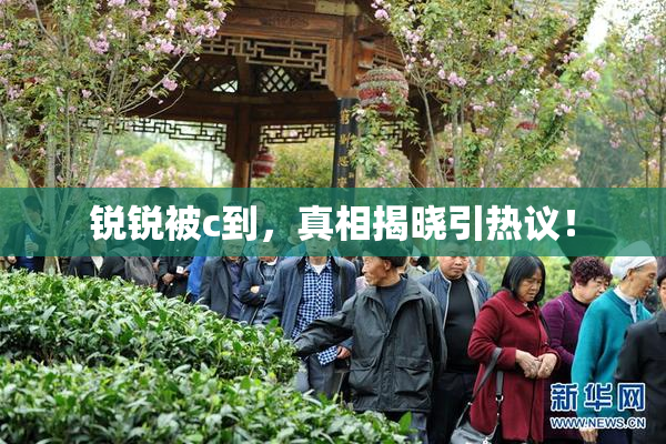锐锐被c到，真相揭晓引热议！