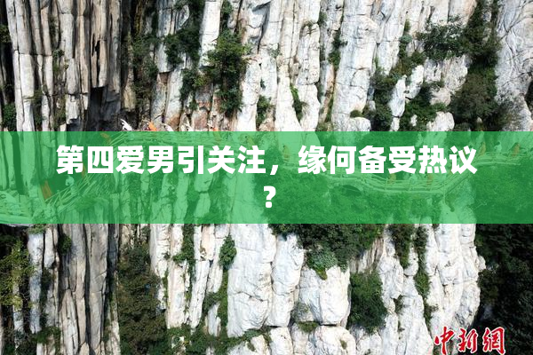 第四爱男引关注，缘何备受热议？