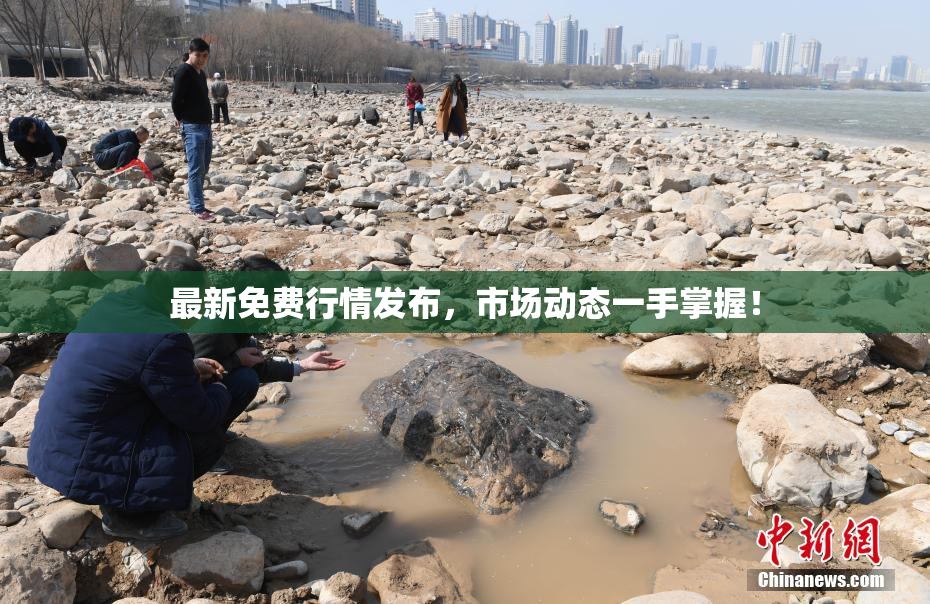 最新免费行情发布，市场动态一手掌握！
