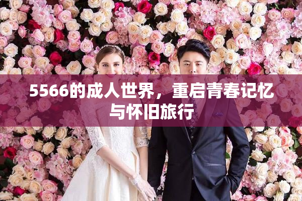 5566的成人世界，重启青春记忆与怀旧旅行