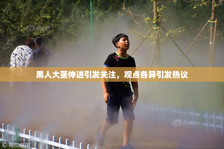 黑人大茎伸进引发关注，观点各异引发热议