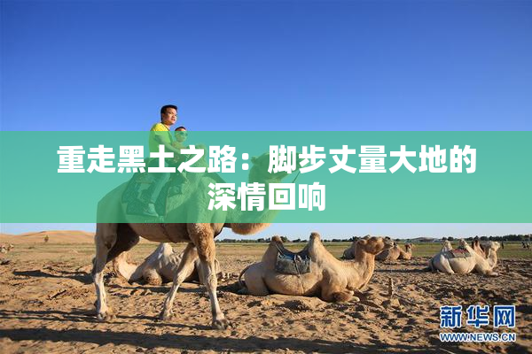 重走黑土之路：脚步丈量大地的深情回响