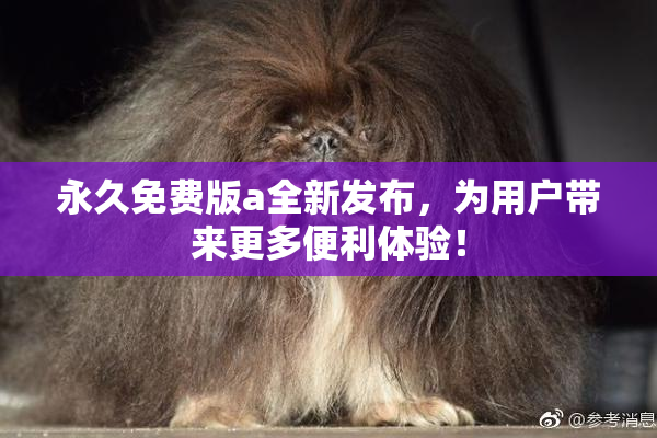 永久免费版a全新发布，为用户带来更多便利体验！