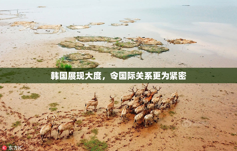 韩国展现大度，令国际关系更为紧密
