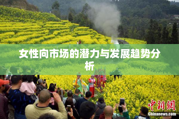 女性向市场的潜力与发展趋势分析