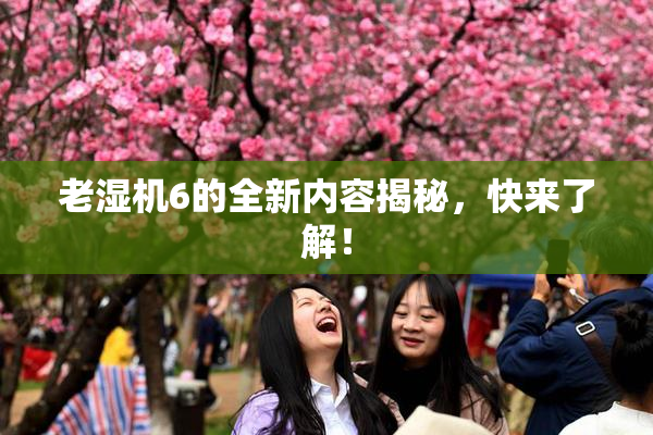 老湿机6的全新内容揭秘，快来了解！