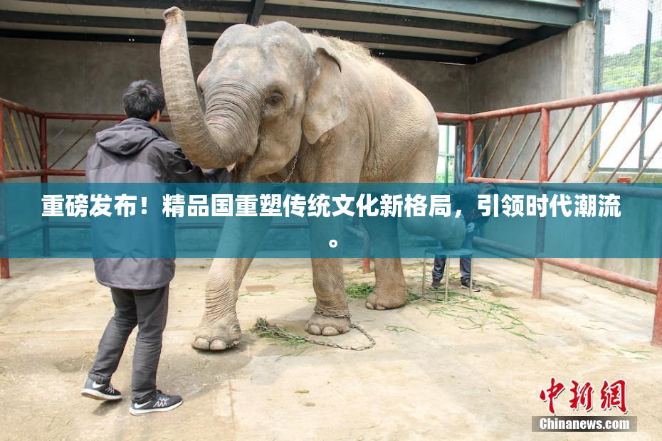 重磅发布！精品国重塑传统文化新格局，引领时代潮流。