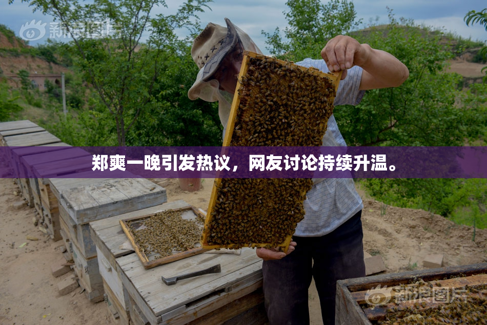 郑爽一晚引发热议，网友讨论持续升温。
