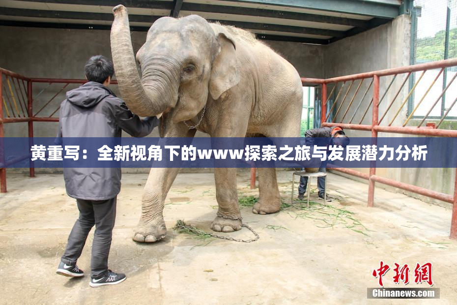 黄重写：全新视角下的www探索之旅与发展潜力分析
