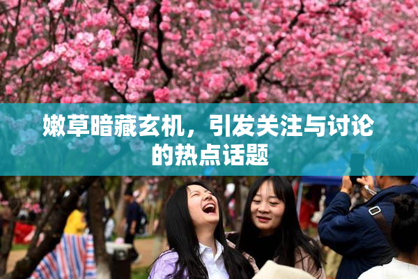 嫩草暗藏玄机，引发关注与讨论的热点话题