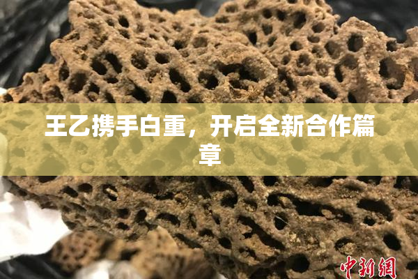 王乙携手白重，开启全新合作篇章