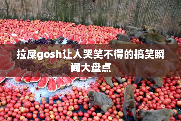 拉屎gosh让人哭笑不得的搞笑瞬间大盘点
