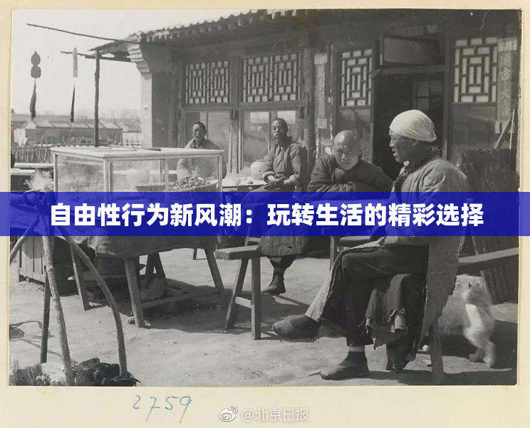 自由性行为新风潮：玩转生活的精彩选择