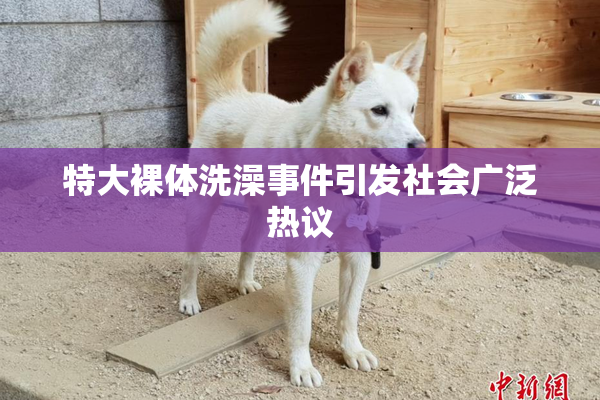 特大裸体洗澡事件引发社会广泛热议