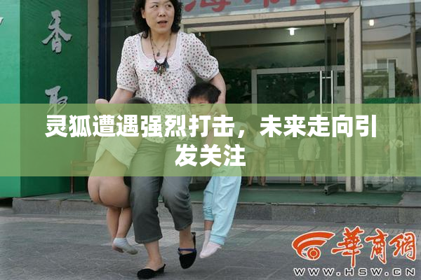 灵狐遭遇强烈打击，未来走向引发关注