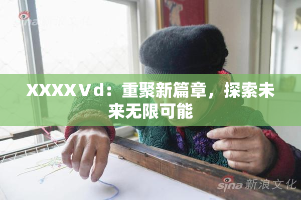 XXXXⅤd：重聚新篇章，探索未来无限可能