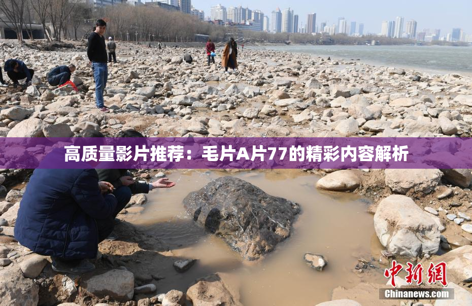 高质量影片推荐：毛片A片77的精彩内容解析