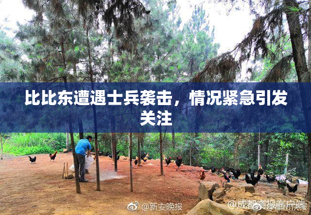 比比东遭遇士兵袭击，情况紧急引发关注