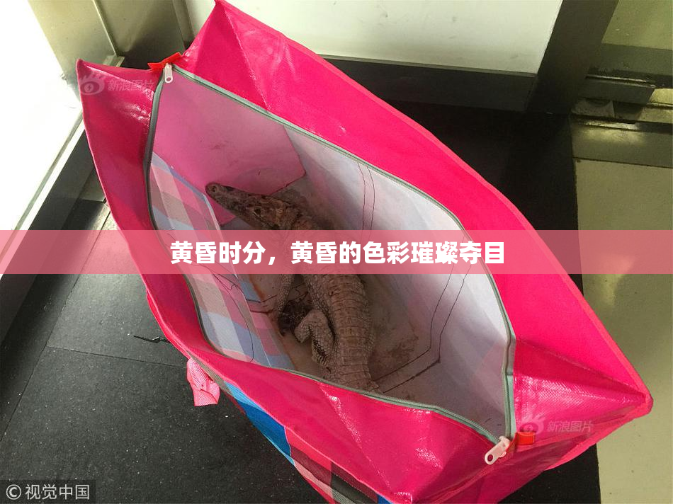 黄昏时分，黄昏的色彩璀璨夺目