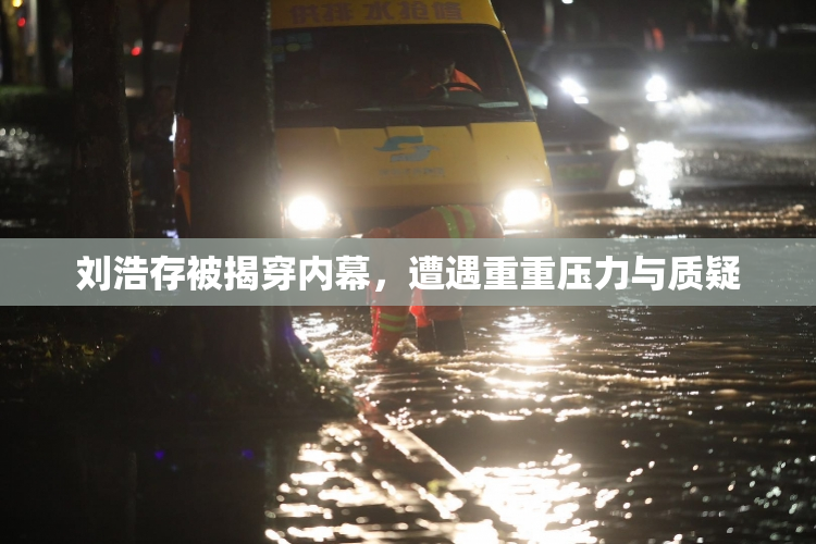刘浩存被揭穿内幕，遭遇重重压力与质疑