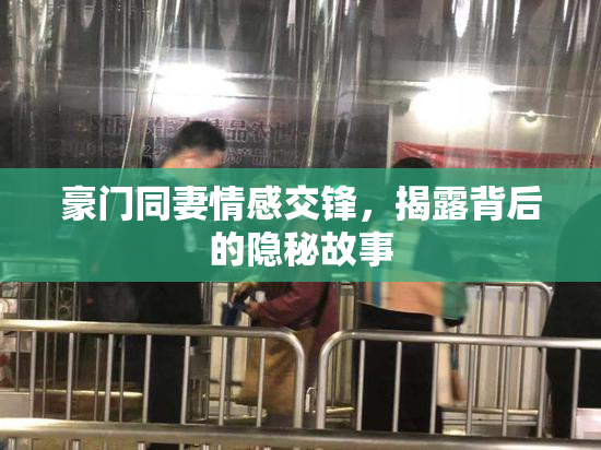 豪门同妻情感交锋，揭露背后的隐秘故事