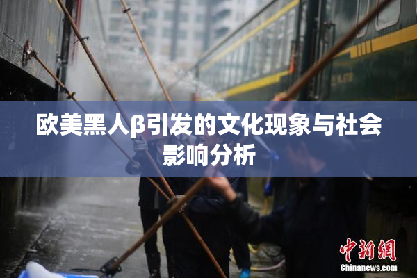 欧美黑人β引发的文化现象与社会影响分析