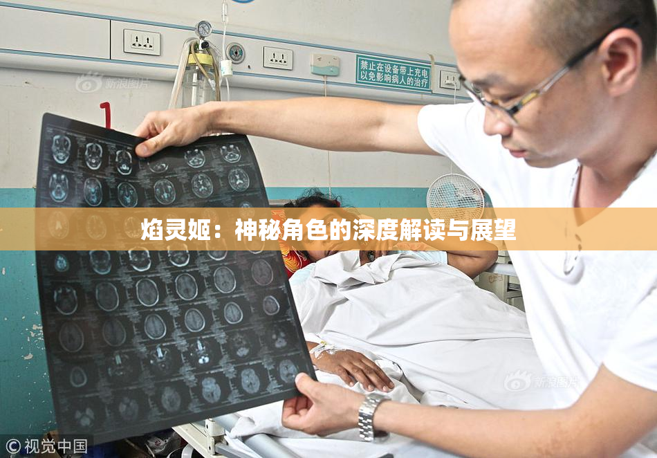 焰灵姬：神秘角色的深度解读与展望