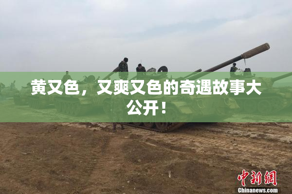 黄又色，又爽又色的奇遇故事大公开！