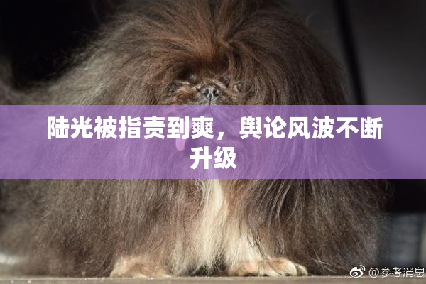 陆光被指责到爽，舆论风波不断升级