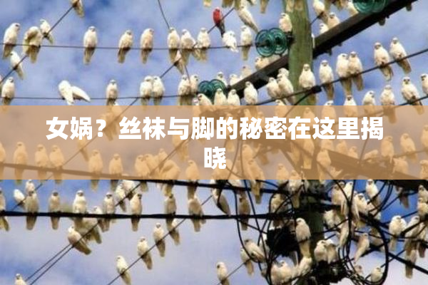 女娲？丝袜与脚的秘密在这里揭晓