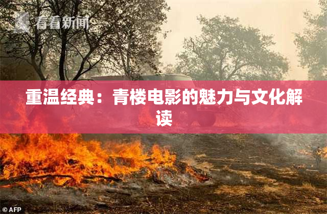 重温经典：青楼电影的魅力与文化解读